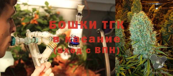 прущие крисы Пестово