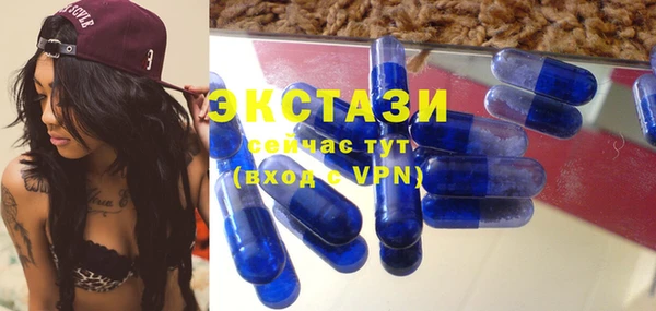 СК Пересвет
