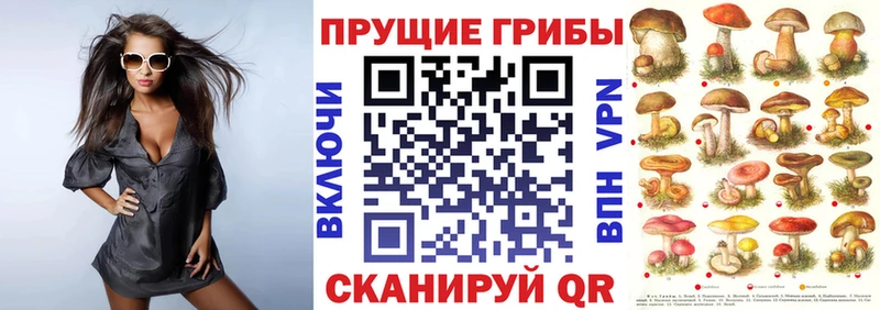 Псилоцибиновые грибы мухоморы  Вышний Волочёк 